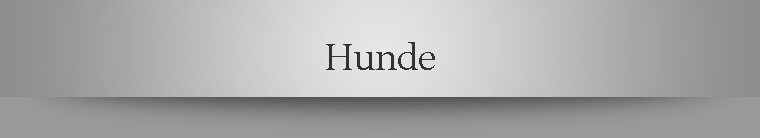 Hunde