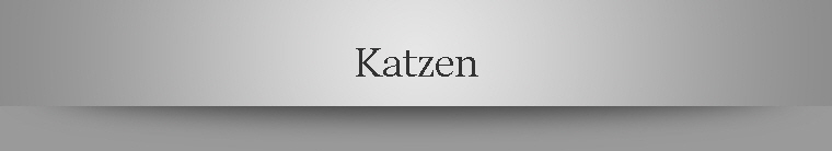 Katzen